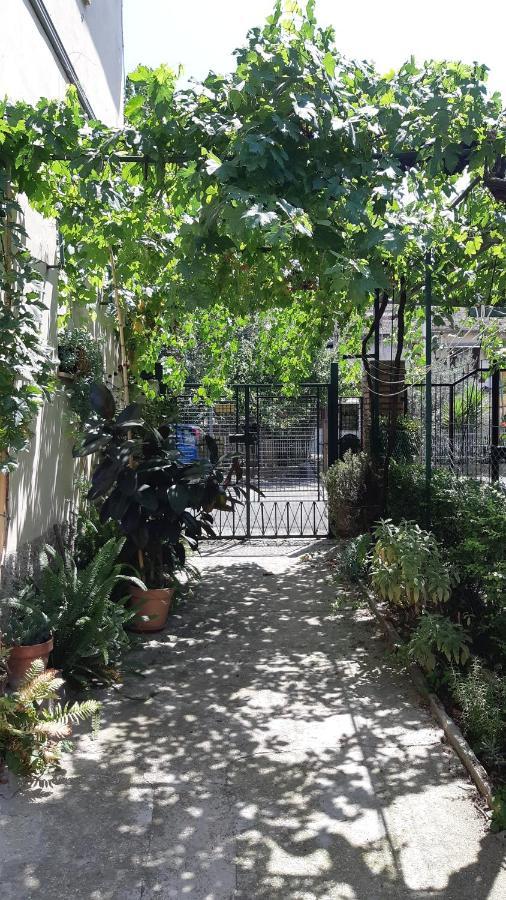 Casa Sofia - Appartamento Con Parcheggio Riservato Terni Exterior photo